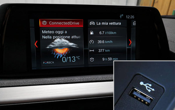 BMW EVO Head unit - AUX TO USB Wire Diagram